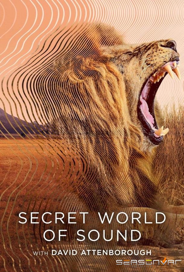 Тайный мир звука с Дэвидом Аттенборо / Secret World of Sound with David Attenborough (2024)
