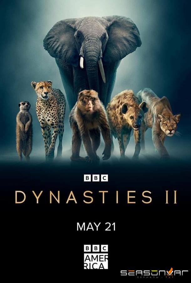Династии II / Dynasties II (2022)