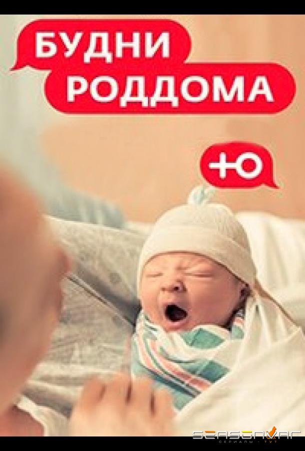 Будни роддома /  (2023)