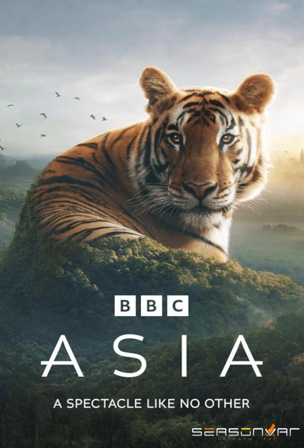 Азия / Asia (2024)