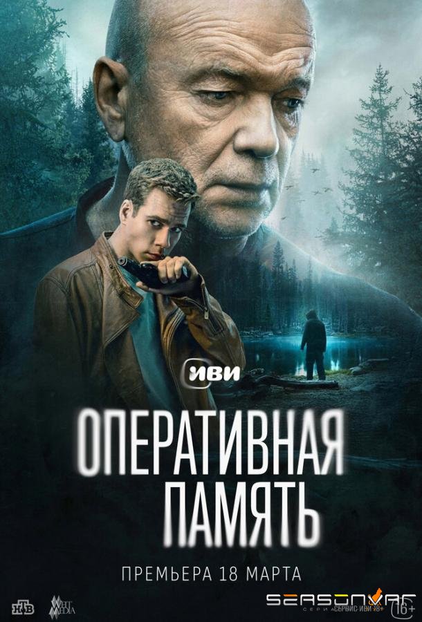 Оперативная память /  (2025)