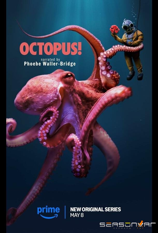 Осьминог! / Octopus! (2025)