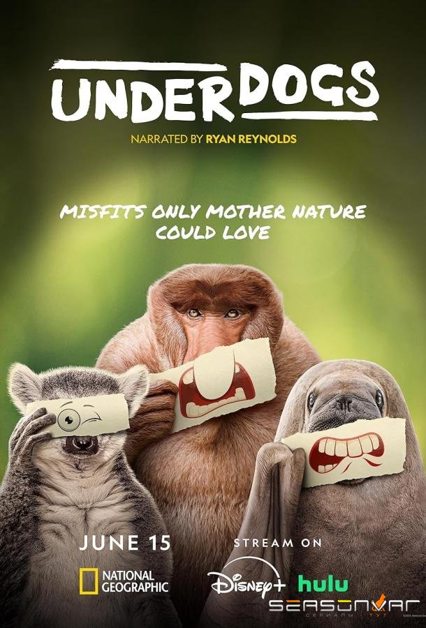 Аутсайдеры / Underdogs (2025)