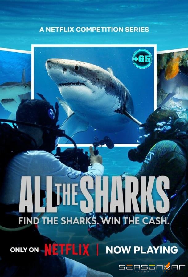 Все акулы / All the Sharks (2025)
