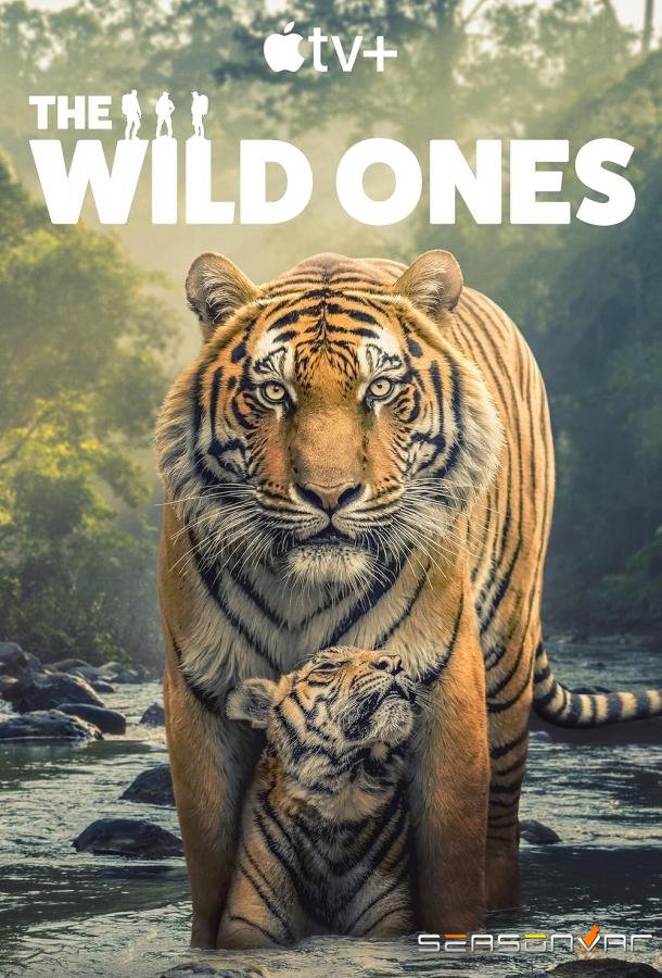 В мире дикой природы / The Wild Ones (2025)