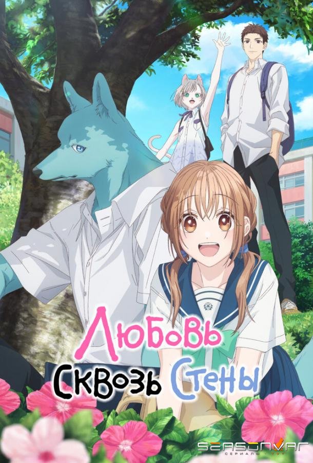 Любовь сквозь стены / Пересечение стен любви с тобой / Kimi to Koete Koi ni Naru (2025)